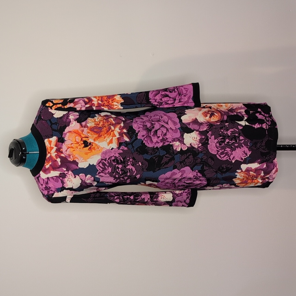 Eliza J Floral Long Sleeve Dress